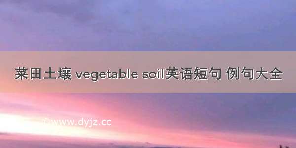 菜田土壤 vegetable soil英语短句 例句大全