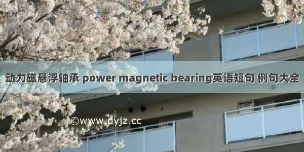 动力磁悬浮轴承 power magnetic bearing英语短句 例句大全