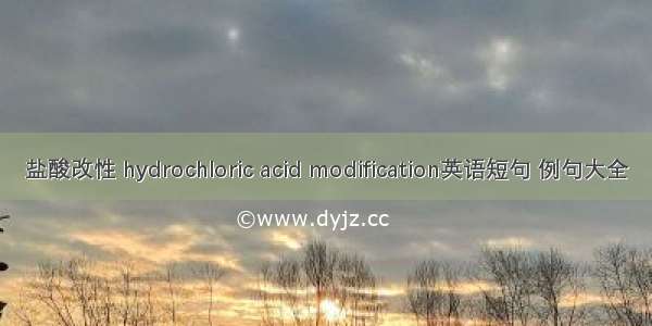 盐酸改性 hydrochloric acid modification英语短句 例句大全