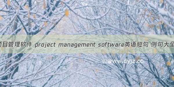 项目管理软件 project management software英语短句 例句大全