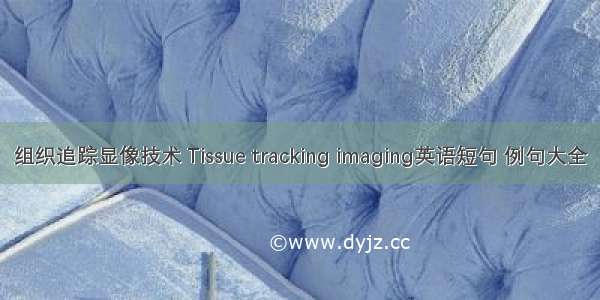 组织追踪显像技术 Tissue tracking imaging英语短句 例句大全