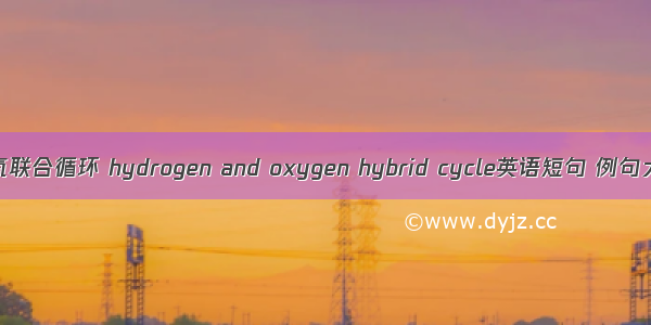 氢-氧联合循环 hydrogen and oxygen hybrid cycle英语短句 例句大全