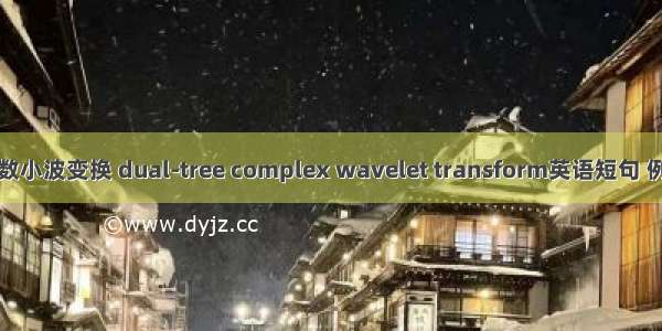 二树复数小波变换 dual-tree complex wavelet transform英语短句 例句大全