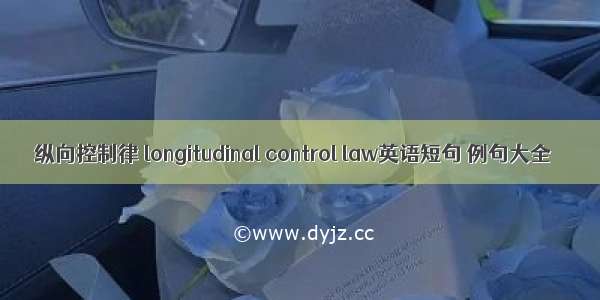纵向控制律 longitudinal control law英语短句 例句大全