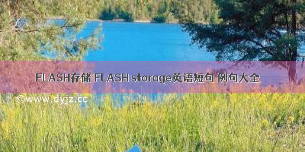 FLASH存储 FLASH storage英语短句 例句大全