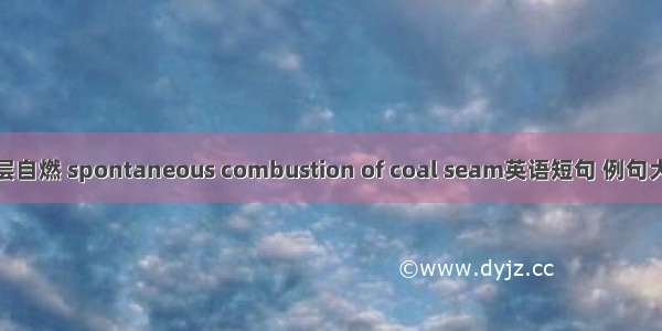 煤层自燃 spontaneous combustion of coal seam英语短句 例句大全