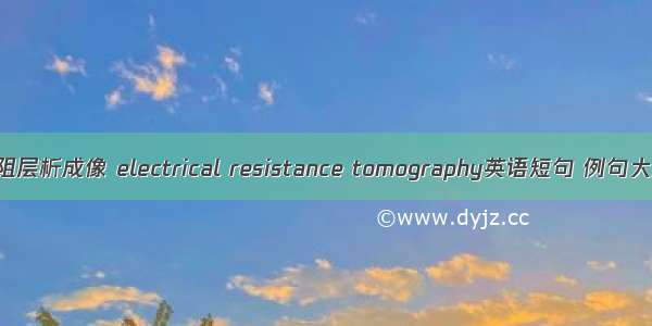 电阻层析成像 electrical resistance tomography英语短句 例句大全