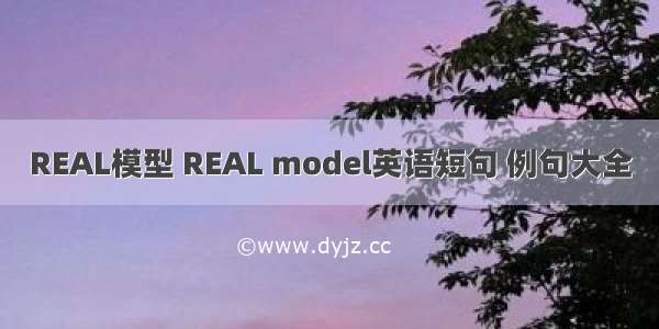 REAL模型 REAL model英语短句 例句大全