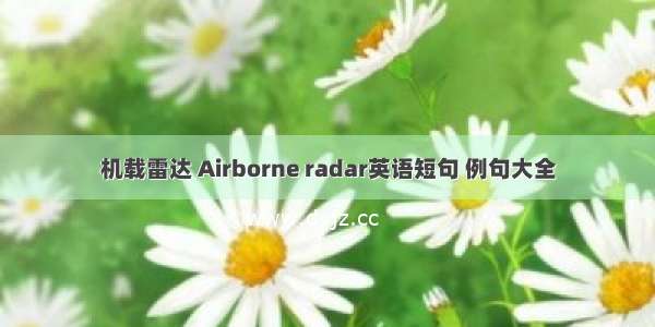 机载雷达 Airborne radar英语短句 例句大全