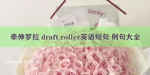 牵伸罗拉 draft roller英语短句 例句大全