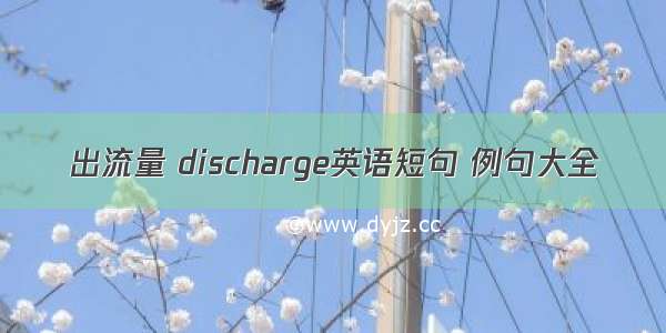 出流量 discharge英语短句 例句大全