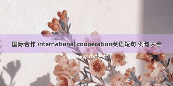 国际合作 international cooperation英语短句 例句大全