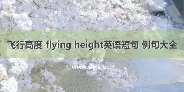 飞行高度 flying height英语短句 例句大全