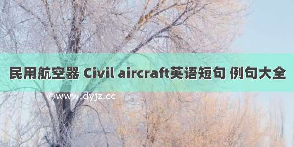 民用航空器 Civil aircraft英语短句 例句大全