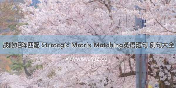 战略矩阵匹配 Strategic Matrix Matching英语短句 例句大全