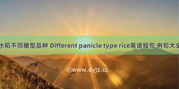 水稻不同穗型品种 Different panicle type rice英语短句 例句大全