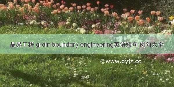 晶界工程 grain boundary engineering英语短句 例句大全