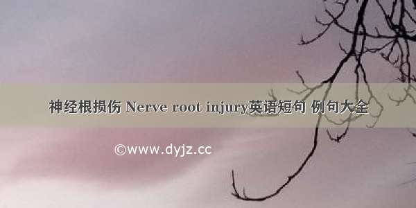 神经根损伤 Nerve root injury英语短句 例句大全