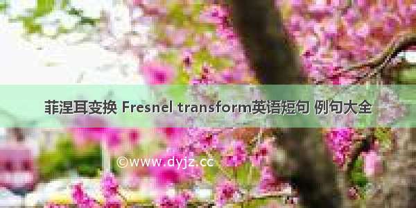 菲涅耳变换 Fresnel transform英语短句 例句大全