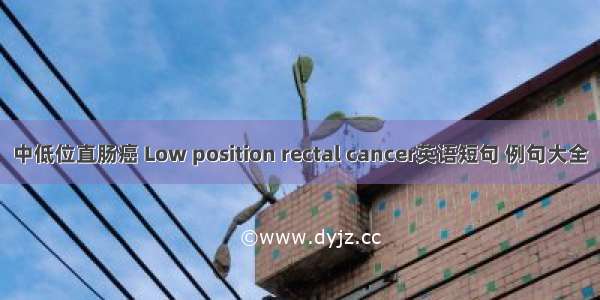 中低位直肠癌 Low position rectal cancer英语短句 例句大全