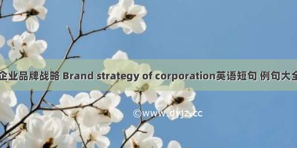 企业品牌战略 Brand strategy of corporation英语短句 例句大全