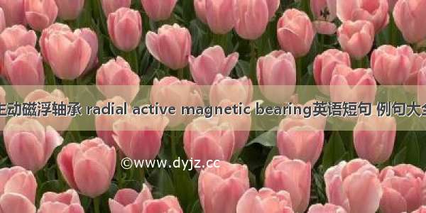 主动磁浮轴承 radial active magnetic bearing英语短句 例句大全