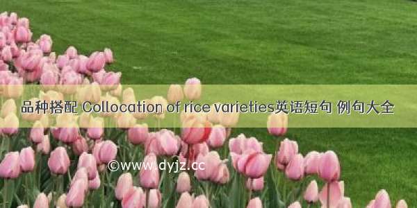 品种搭配 Collocation of rice varieties英语短句 例句大全