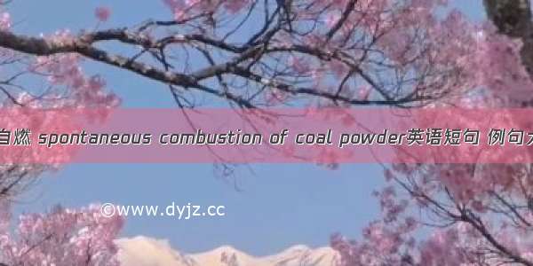 煤粉自燃 spontaneous combustion of coal powder英语短句 例句大全