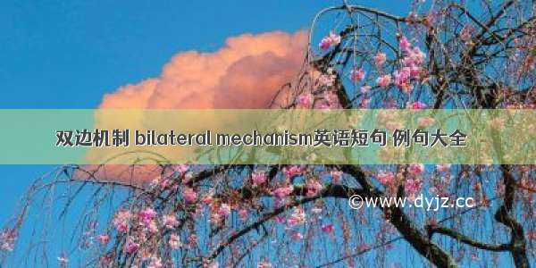 双边机制 bilateral mechanism英语短句 例句大全