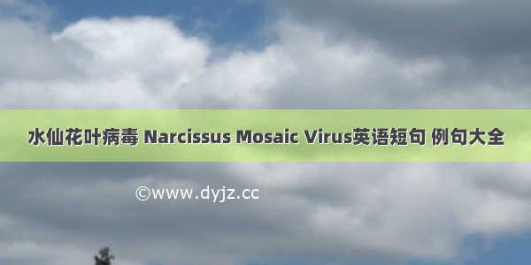水仙花叶病毒 Narcissus Mosaic Virus英语短句 例句大全