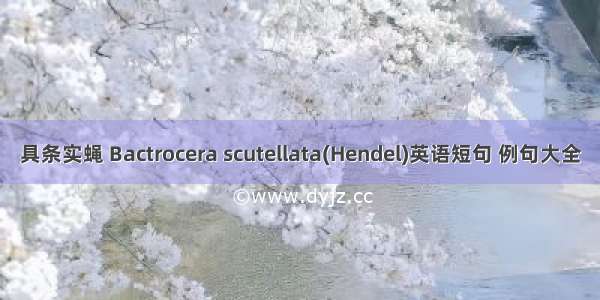 具条实蝇 Bactrocera scutellata(Hendel)英语短句 例句大全