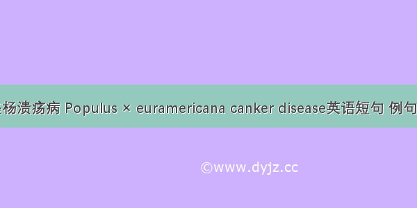 欧美杨溃疡病 Populus × euramericana canker disease英语短句 例句大全