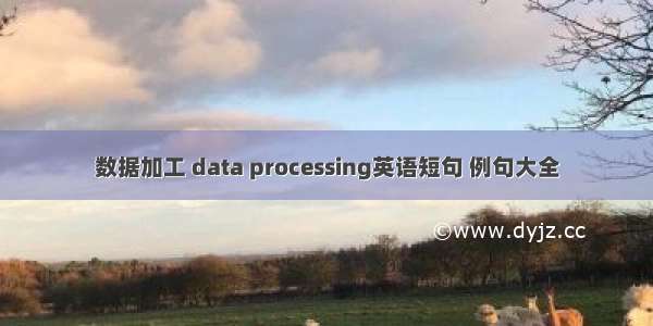 数据加工 data processing英语短句 例句大全