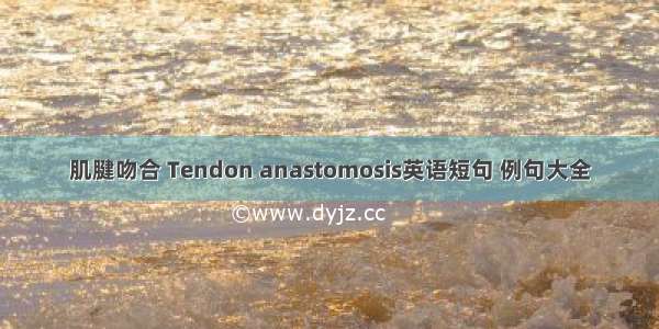 肌腱吻合 Tendon anastomosis英语短句 例句大全
