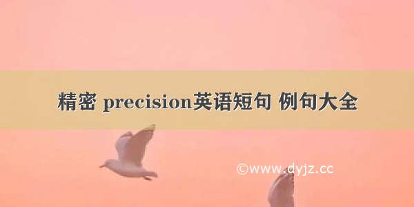 精密 precision英语短句 例句大全