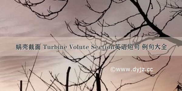 蜗壳截面 Turbine Volute Section英语短句 例句大全