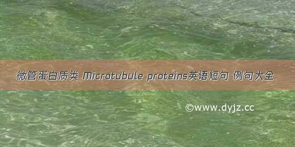微管蛋白质类 Microtubule proteins英语短句 例句大全