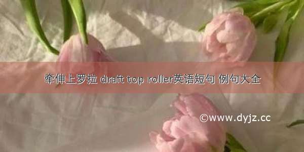 牵伸上罗拉 draft top roller英语短句 例句大全