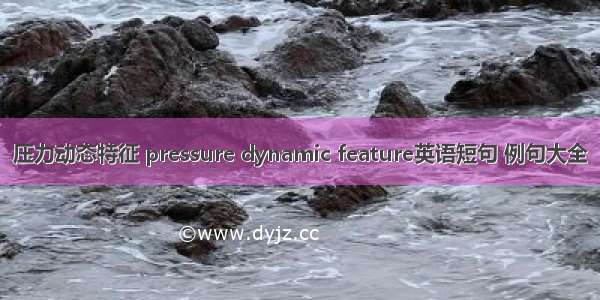 压力动态特征 pressure dynamic feature英语短句 例句大全