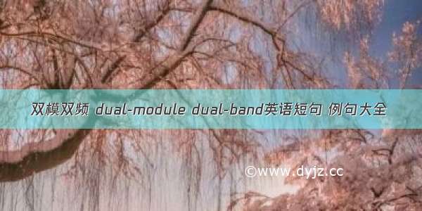 双模双频 dual-module dual-band英语短句 例句大全