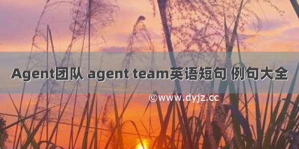 Agent团队 agent team英语短句 例句大全