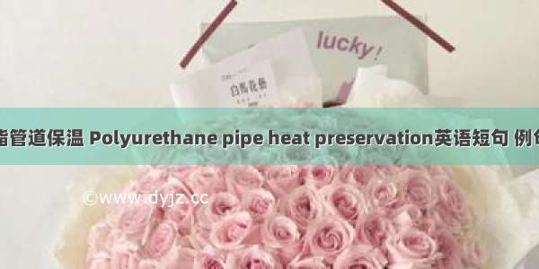 聚氨酯管道保温 Polyurethane pipe heat preservation英语短句 例句大全