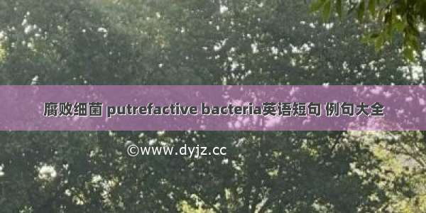 腐败细菌 putrefactive bacteria英语短句 例句大全