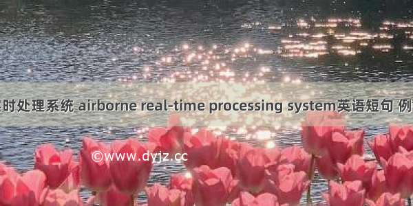 机载实时处理系统 airborne real-time processing system英语短句 例句大全