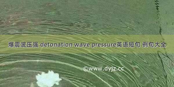 爆震波压强 detonation wave pressure英语短句 例句大全