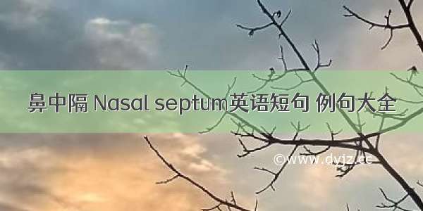 鼻中隔 Nasal septum英语短句 例句大全