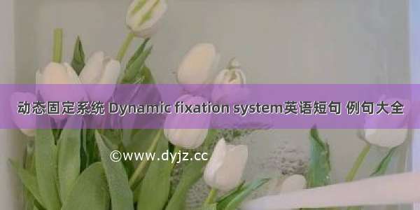 动态固定系统 Dynamic fixation system英语短句 例句大全