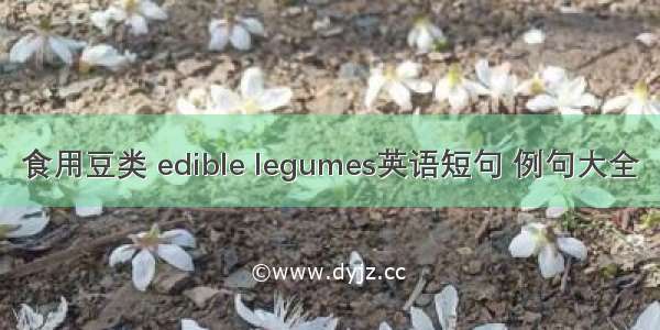 食用豆类 edible legumes英语短句 例句大全