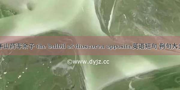 怀山药零余子 the bulbil of dioscorea opposite英语短句 例句大全