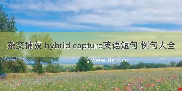 杂交捕获 hybrid capture英语短句 例句大全